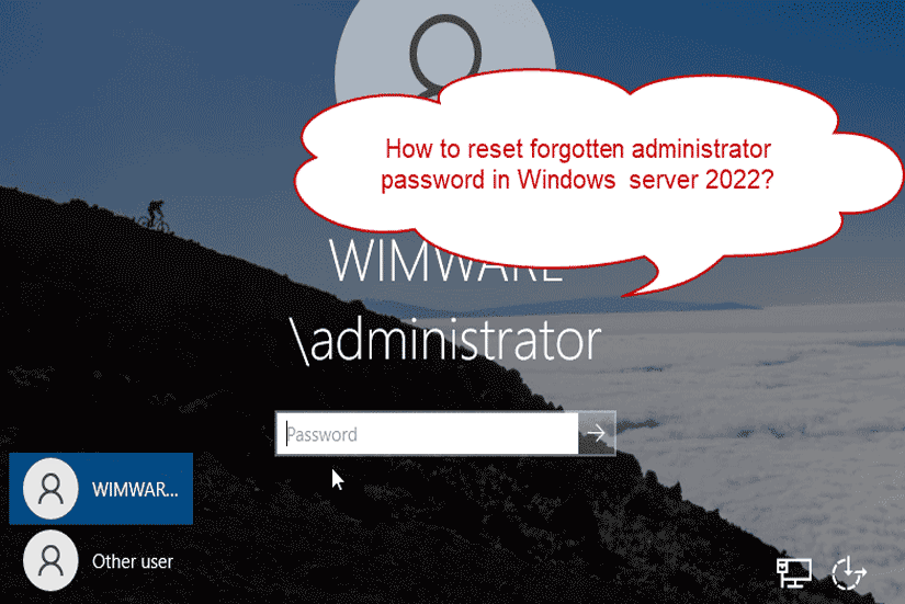 windows server 2022